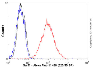 Flow Cytometry - Anti-Surf1 antibody [21H2BG4] (AB110256), expandable thumbnail