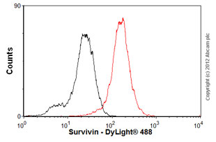 Flow Cytometry - Anti-Survivin antibody [60.11] (AB93274)
