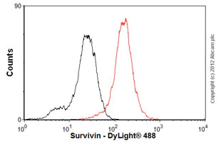 Flow Cytometry - Anti-Survivin antibody [60.11] (AB93274)