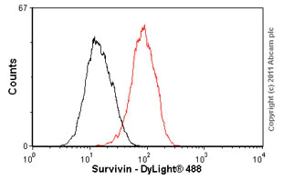 Flow Cytometry (Intracellular) - Anti-Survivin antibody [EP2880Y] - BSA and Azide free (AB192675)