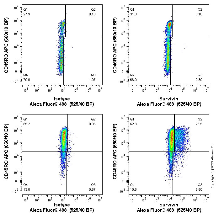 Flow Cytometry (Intracellular) - Anti-Survivin antibody [EP2880Y] - BSA and Azide free (AB192675)