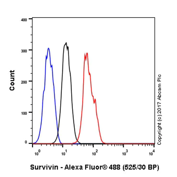 Flow Cytometry (Intracellular) - Anti-Survivin antibody [EP2880Y] - BSA and Azide free (AB192675)