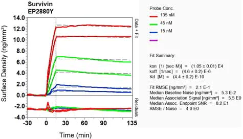 OI-RD Scanning - Anti-Survivin antibody [EP2880Y] - BSA and Azide free (AB192675)