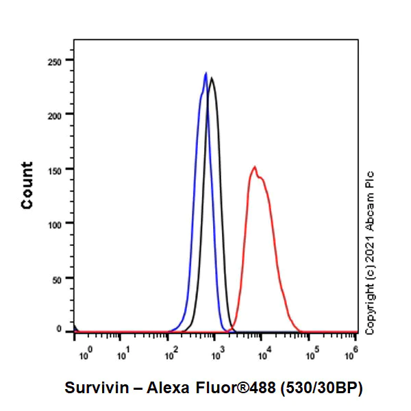Flow Cytometry - Anti-Survivin antibody [EPR2675] - BSA and Azide free (AB167450)
