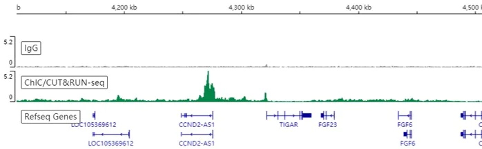 ChIC/CUT&RUN sequencing - Anti-SUZ12 antibody [EPR5234(N)] - ChIP Grade (AB175187)