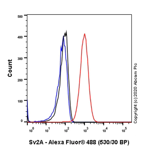 Flow Cytometry (Intracellular) - Anti-SV2A antibody [EPR23500-32] - BSA and Azide free (AB273513)