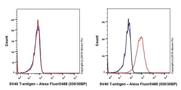 Flow Cytometry (Intracellular) - Anti-SV40 T-antigen antibody [EPR22694-148] (AB234426), expandable thumbnail