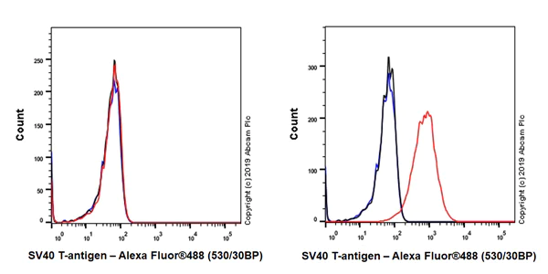 Flow Cytometry (Intracellular) - Anti-SV40 T-antigen antibody [EPR22694-148] - BSA and Azide free (AB255286)