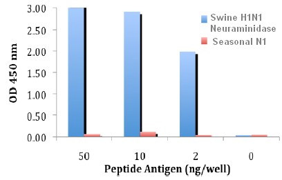 ELISA - Anti-Swine H1N1 Neuraminidase antibody (AB91643), expandable thumbnail