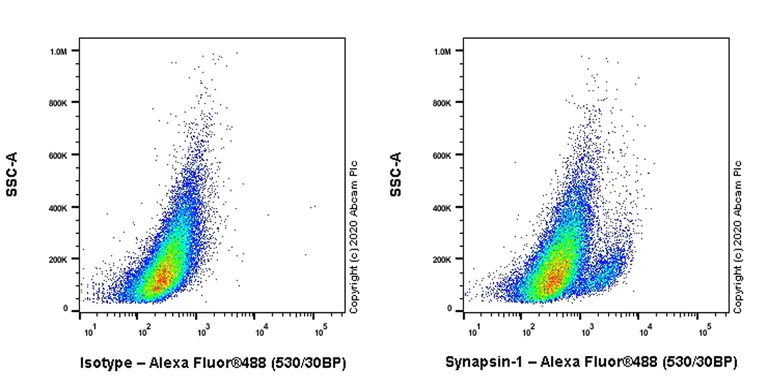 Flow Cytometry (Intracellular) - Synaptic Marker (Synaptophysin, Synapsin1, PSD95, VAMP2) Antibody Sampler Panel - Human, Mouse (AB263463)