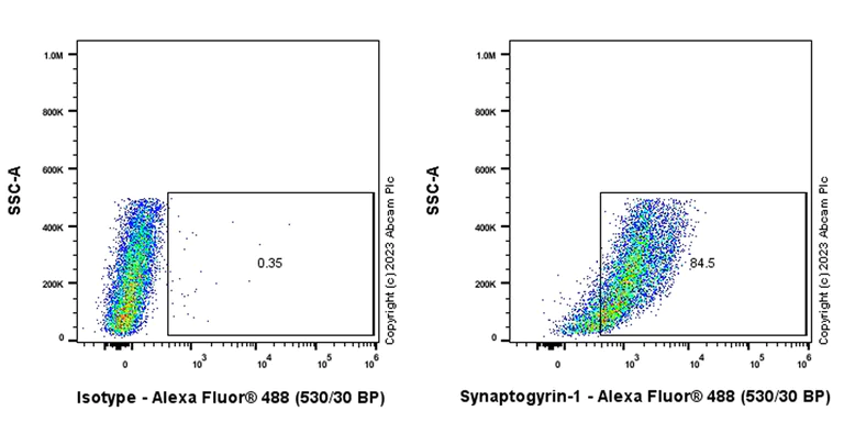 Flow Cytometry (Intracellular) - Anti-Synaptogyrin 1 antibody [EPR25081-18] - BSA and Azide free (AB308618)