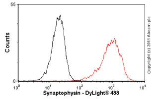 Flow Cytometry (Intracellular) - Anti-Synaptophysin antibody [EP1098Y] - BSA and Azide free (AB214621)