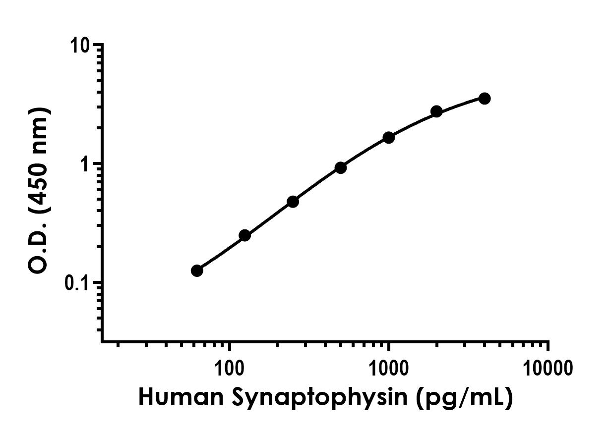Sandwich ELISA - Anti-Synaptophysin antibody [EPR23299-24] - BSA and Azide free (Detector) (AB313708), expandable thumbnail