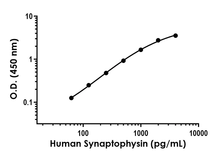 Sandwich ELISA - Anti-Synaptophysin antibody [EPR23299-24] - BSA and Azide free (Detector) (AB313708)