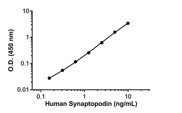 Sandwich ELISA - Anti-Synaptopodin antibody [EPR24625-9] - BSA and Azide free (Detector) (AB305191)