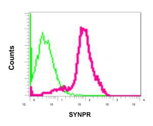 Flow Cytometry (Intracellular) - Anti-SYNPR antibody [EPR11472] - BSA and Azide free (AB249875), expandable thumbnail
