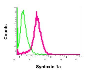 Flow Cytometry (Intracellular) - Anti-Syntaxin 1a antibody [EPR11072(B)] (AB170890), expandable thumbnail