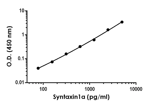 Sandwich ELISA - Anti-Syntaxin 1a antibody [EPR23457-8] - BSA and Azide free (Detector) (AB277267)