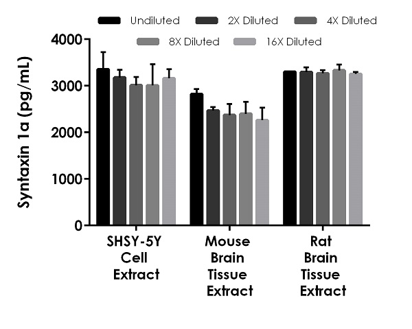 Sandwich ELISA - Syntaxin 1a ELISA Kit (AB277088)