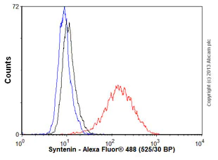 Flow Cytometry (Intracellular) - Anti-Syntenin antibody [EPR8102] - BSA and Azide free (AB236071)