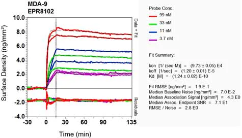 OI-RD Scanning - Anti-Syntenin antibody [EPR8102] - BSA and Azide free (AB236071)