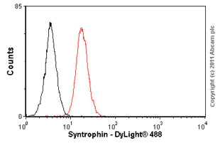 Flow Cytometry - Anti-Syntrophin antibody [1351] (AB11425)