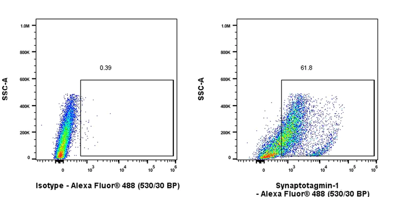 Flow Cytometry (Intracellular) - Anti-SYT1 antibody [EPR24488-129] (BSA and Azide free) (AB302628)