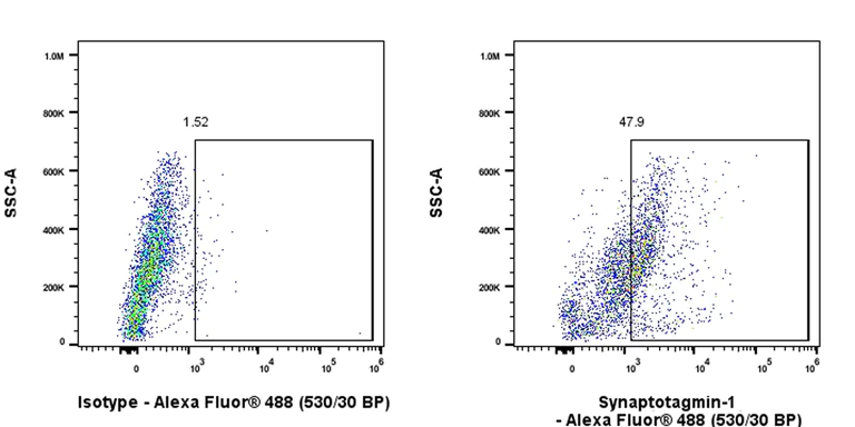 Flow Cytometry (Intracellular) - Anti-SYT1 antibody [EPR24488-129] (BSA and Azide free) (AB302628)