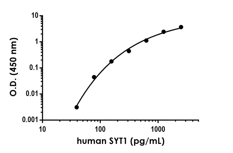 Sandwich ELISA - Anti-SYT1 antibody [EPR24488-21] - BSA and Azide free (Capture) (AB290672)
