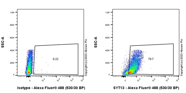 Flow Cytometry (Intracellular) - Anti-SYT13 antibody [EPR26923-67] (AB313329)