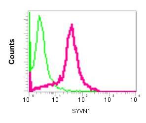 Flow Cytometry (Intracellular) - Anti-SYVN1/HRD1 antibody [EP7459] (AB170901), expandable thumbnail