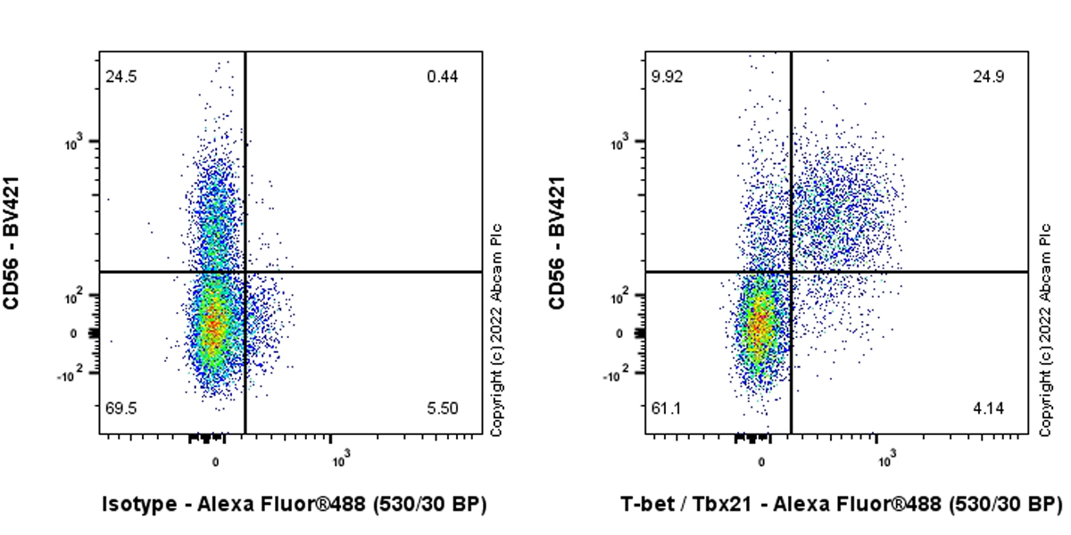 Flow Cytometry (Intracellular) - Anti-T-bet / Tbx21 antibody [EPR27094-16] (ab307193), expandable thumbnail