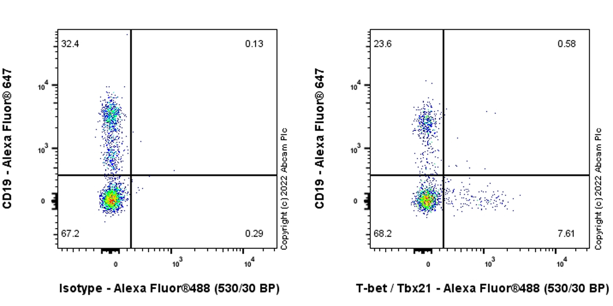 Flow Cytometry (Intracellular) - Anti-T-bet / Tbx21 antibody [EPR27094-16] (ab307193), expandable thumbnail