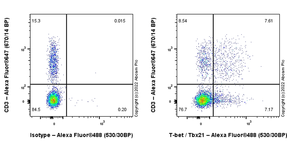 Flow Cytometry (Intracellular) - Anti-T-bet / Tbx21 antibody [EPR27094-16] (ab307193), expandable thumbnail