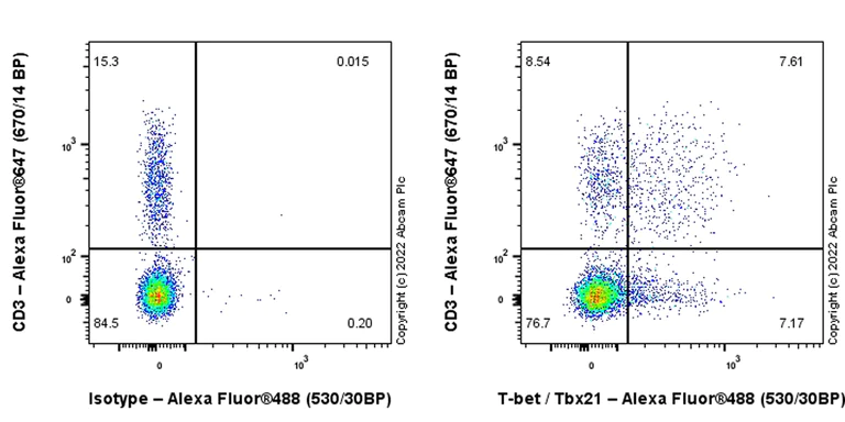 Flow Cytometry (Intracellular) - Anti-T-bet / Tbx21 antibody [EPR27094-16] (AB307193)