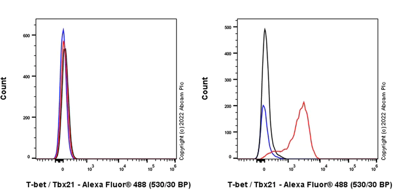 Flow Cytometry (Intracellular) - Anti-T-bet / Tbx21 antibody [EPR27094-16] - BSA and Azide free (AB307194)