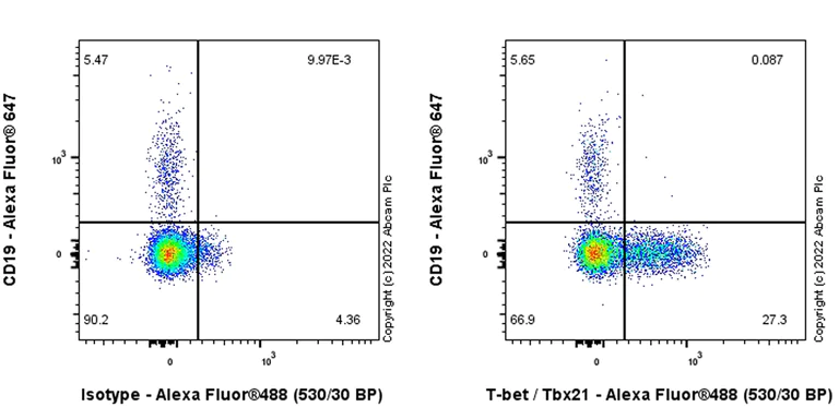Flow Cytometry (Intracellular) - Anti-T-bet / Tbx21 antibody [EPR27094-16] - BSA and Azide free (AB307194)