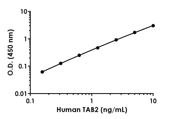 Sandwich ELISA - Anti-TAB2 antibody [EPR19670-161] - BSA and Azide free (Detector) (AB242868)