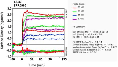 OI-RD Scanning - Anti-TAB3 antibody [EPR5965] - BSA and Azide free (AB247981)