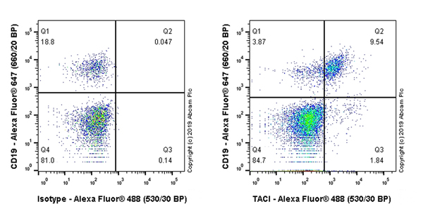 Flow Cytometry - Anti-TACI antibody [EPR23045-153] (AB239370), expandable thumbnail