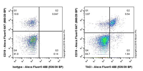 Flow Cytometry - Anti-TACI antibody [EPR23045-153] - BSA and Azide free (AB269588)
