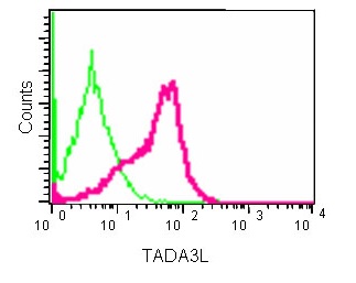 Flow Cytometry (Intracellular) - Anti-TADA3L antibody [EPR13864] (AB181984)