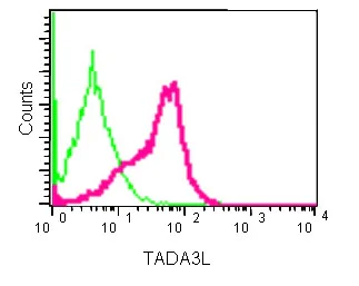 Flow Cytometry (Intracellular) - Anti-TADA3L antibody [EPR13864] - BSA and Azide free (AB250551)