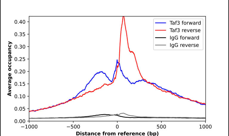 ChIP - Anti-TAF3 Antibody (AB327265)