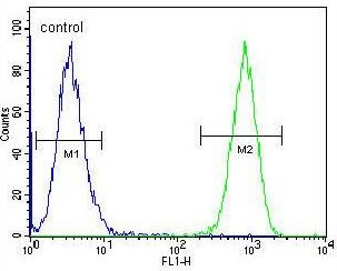 Flow Cytometry (Intracellular) - Anti-TAF4B antibody - C-terminal (AB189428)