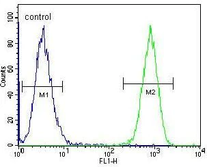 Flow Cytometry (Intracellular) - Anti-TAF4B antibody - C-terminal (AB189428)