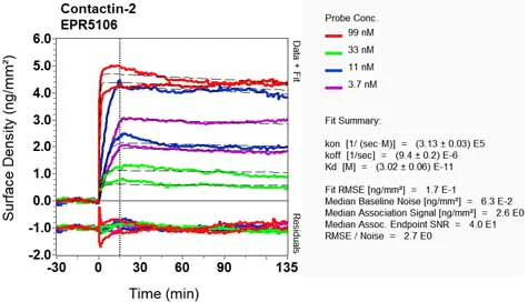 OI-RD Scanning - Anti-TAG1/TAX1 antibody [EPR5106] (AB133498)