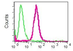 Flow Cytometry (Intracellular) - Anti-TAG1/TAX1 antibody [EPR5106] - BSA and Azide free (AB248524)