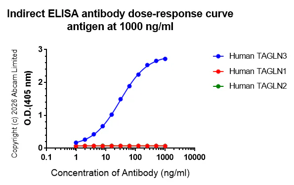 Indirect ELISA - Anti-TAGLN3 antibody [EPR31032-506] (AB326940)