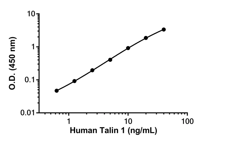 Sandwich ELISA - Anti-Talin 1 antibody [EPR25983-95] - BSA and Azide free (Detector) (AB307578)